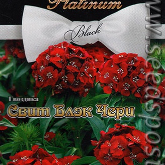 Гвоздика Свит Блэк Чери, 8 шт. Platinum Black