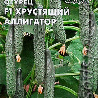 Огурец Хрустящий аллигатор F1, 0,2 г