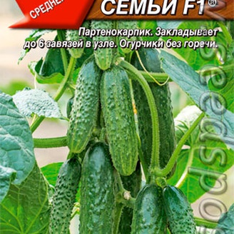 Огурец Любимец семьи F1 ®, 0,25 г