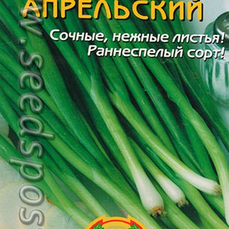 Лук батун Апрельский, 1 г