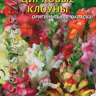 Львиный зев Цирковые клоуны, Смесь, 0,05 г