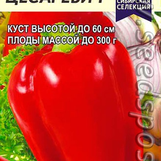 Перец сладкий Цесаревич ®, 0,1 г Сибирская Селекция!