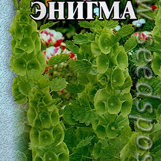 Молюцелла Энигма, 0,1 г