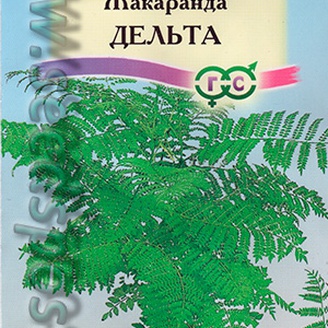 Жакаранда Дельта, 3 шт.