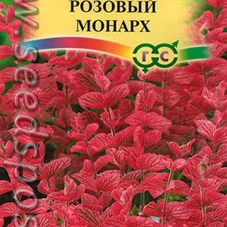 Сальвия хорминум Розовый монарх, 0,05 г