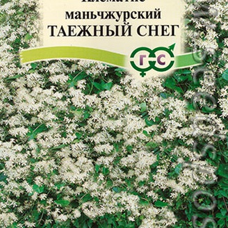 Клематис манчжурский Таежный снег, 0,05 г