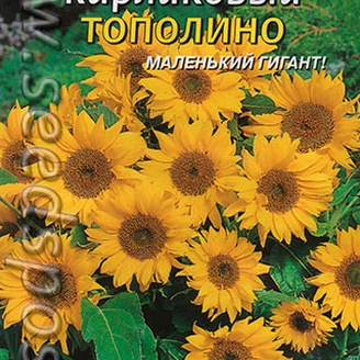 Подсолнечник карликовый Тополино, 8 шт.