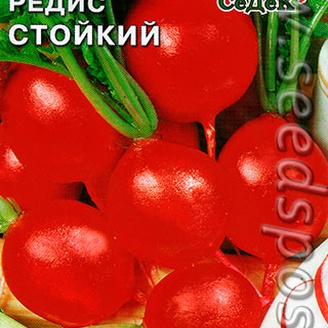 Редис Стойкий, 3 г