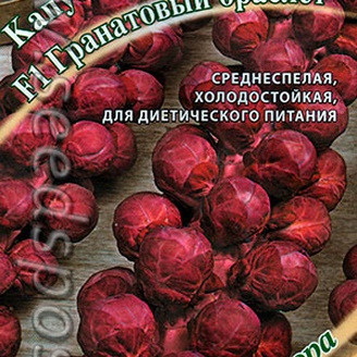 Капуста брюссельская Гранатовый браслет F1, 0,1 г Семена от автора