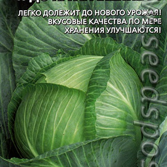Капуста белокочанная Чудо на Хранение F1, 0,3 г Семена из Голландии