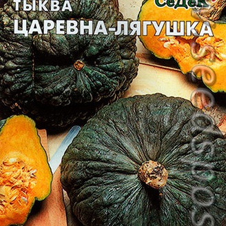 Тыква Царевна-Лягушка, 2 г