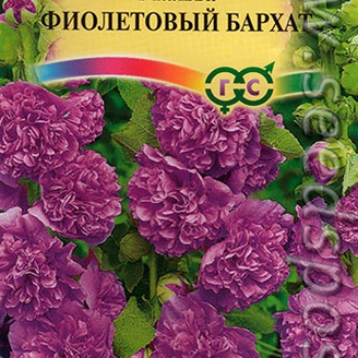 Мальва Фиолетовый бархат, 2-2,5м,двух,  0,1 г