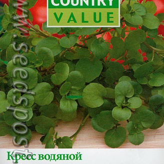 Кресс водяной Подмосковный, 500 шт.