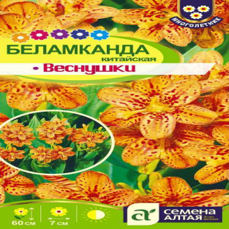 Беламканда Веснушки китайская, многолетник, 0,1 г