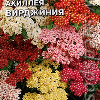 Ахиллея садовая Вирджиния, Смесь, 0,1 г