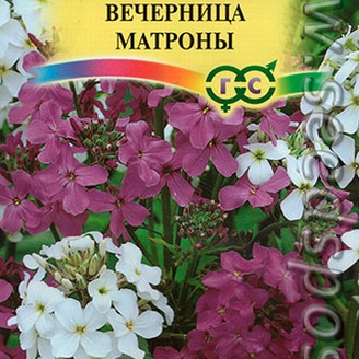 Хесперис Вечерница Матроны, Смесь, 0,3 г