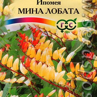 Ипомея Мина Лобата, 0,5 г 