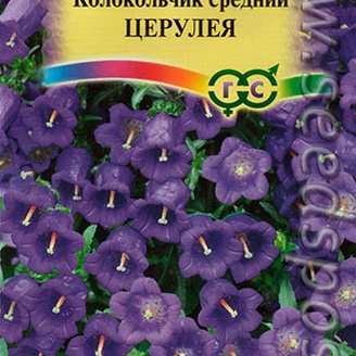 Колокольчик средний Церулея, 0,1 г