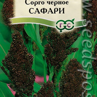 Сорго черное Сафари, 1 г