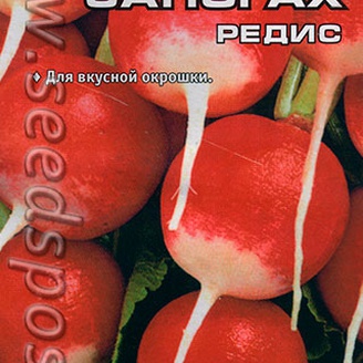 Редис Кот в сапогах, 2 г