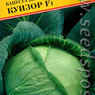 Капуста белокочанная Куизор F1, 20 шт. Голландская линия