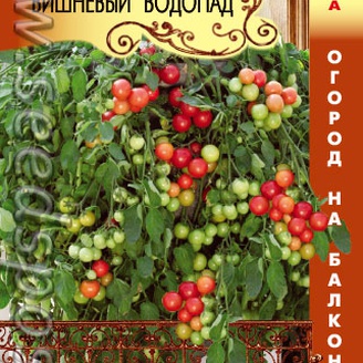 Томат ампельный Вишневый Водопад F1, 8 шт. Огород на балконе!