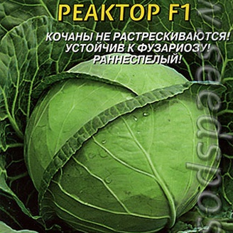 Капуста белокочанная Реактор F1, 10 шт.