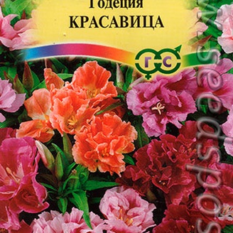 Годеция Красавица (махровая), Смесь, 0,3 г 