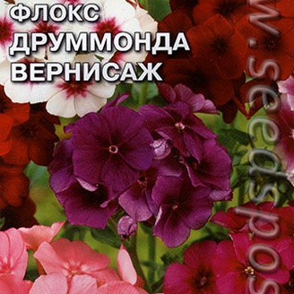 Флокс Друммонда Вернисаж, Смесь, 0,25 г