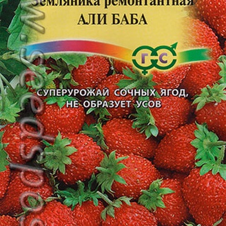 Земляника ремонтантная Али-Баба, 0,03 г