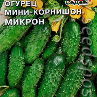 Огурец мини-корнишон Микрон, 0,5 г