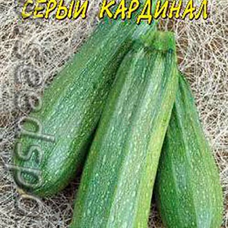 Кабачок цуккини Серый кардинал, 1 г