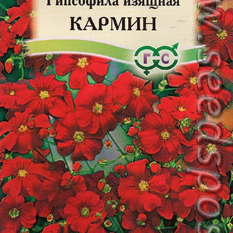 Гипсофила изящная Кармин, 0,3 г