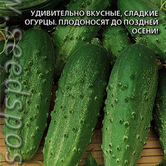 Огурец Электрон 2, 12 шт.