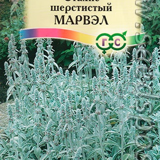 Стахис шерстистый Марвэл, 0,05 г