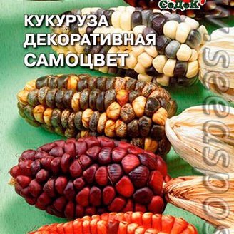 Кукуруза декоративная Самоцвет, 1 г