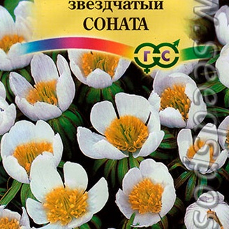 Весенник звездчатый Соната, 0,01 г