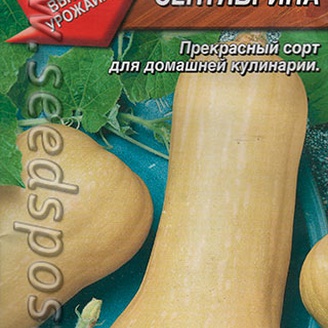 Тыква Сентябрина, 1 г