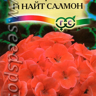 Пеларгония Найт Салмон F1, 4 шт.