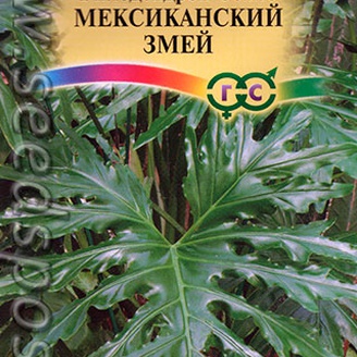 Филодендрон Селло Мексиканский змей, 5 шт.