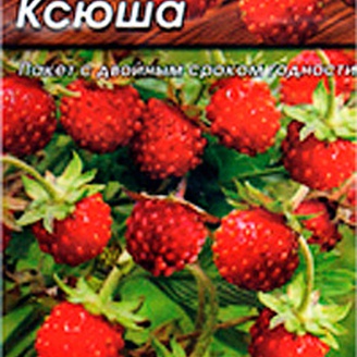 Земляника Ксюша, 0,04 г. Альпийская высокая урожайность