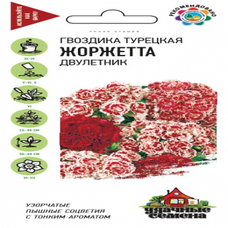 Гвоздика Жоржетта смесь, марх, двулетник, 0,2 г Удачные Семена