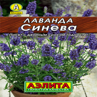 Лаванда Синева, засухоустойчив, 0,1 г