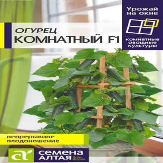 Огурец Комнатный, цп, 5 шт.