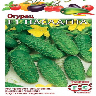 Огурец Пасадена F1, корниш, 0,3 г Голландия